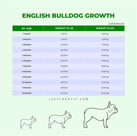 english bulldog weight chart kg